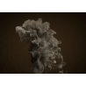 TurbulenceFD pour LightWave 3D