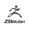 ZBrush 2024 Teams
