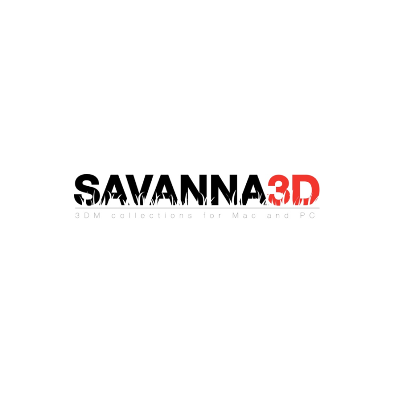 Savanna 3D